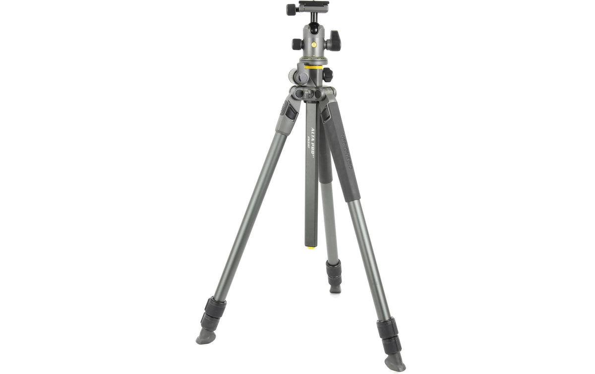 Vanguard Alta Pro 2+ 263AB100