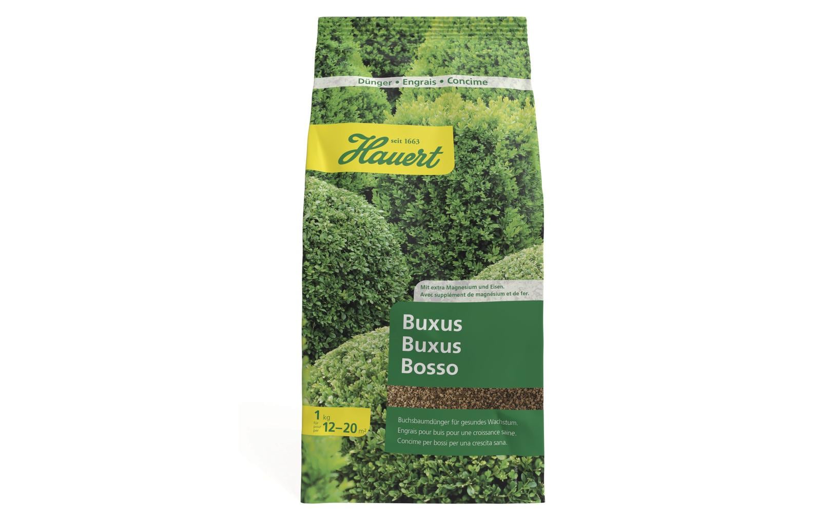 Hauert Buxus