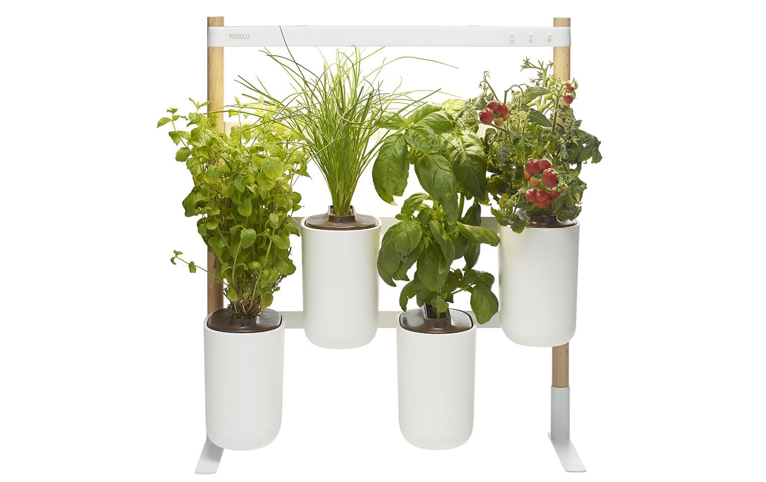 Prêt à Pousser Indoor Kräutergarten