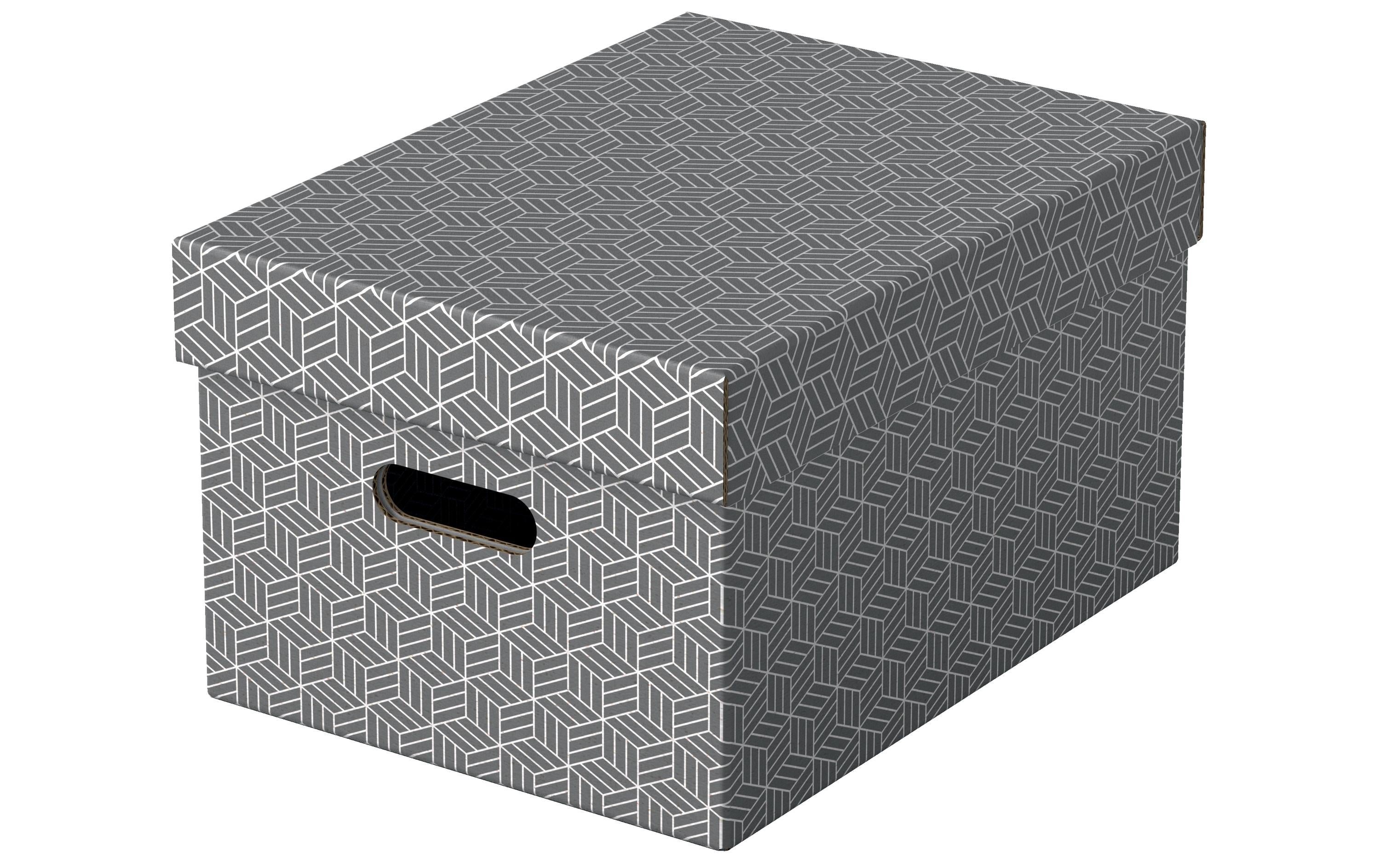 Leitz Aufbewahrungsbox Home M