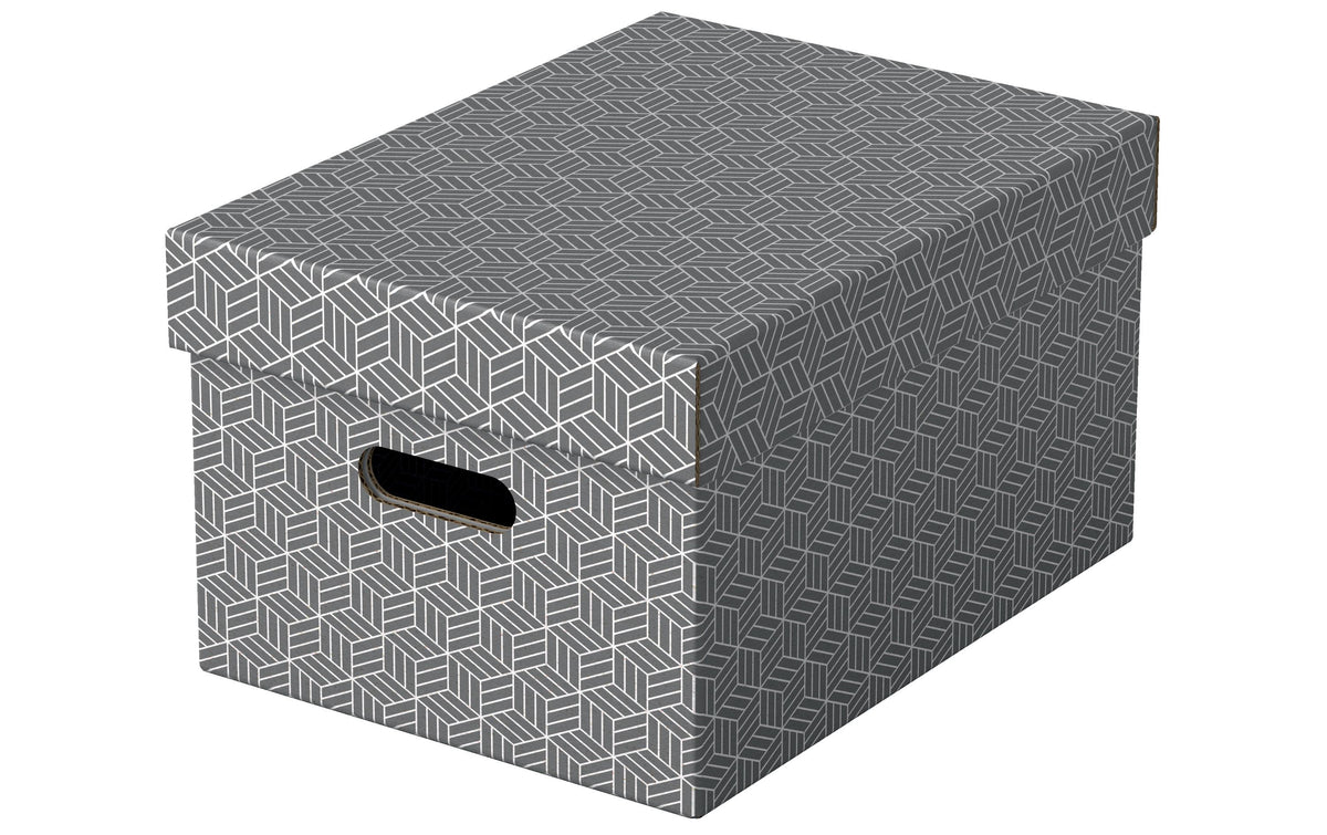 Leitz Aufbewahrungsbox Home M
