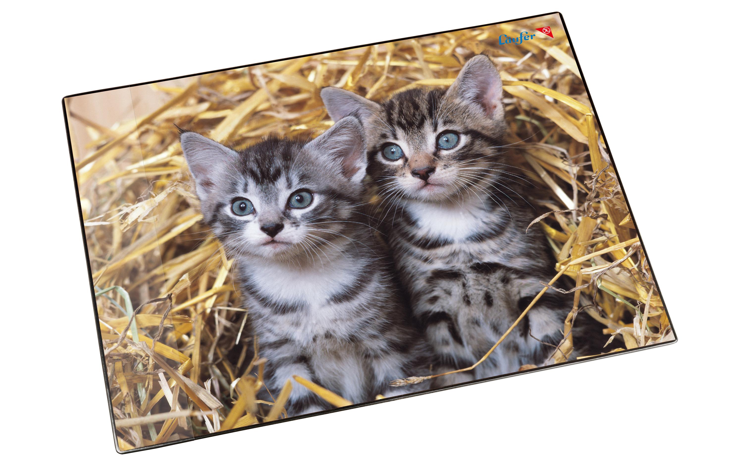 Läufer Schreibunterlage Katzen im Stroh