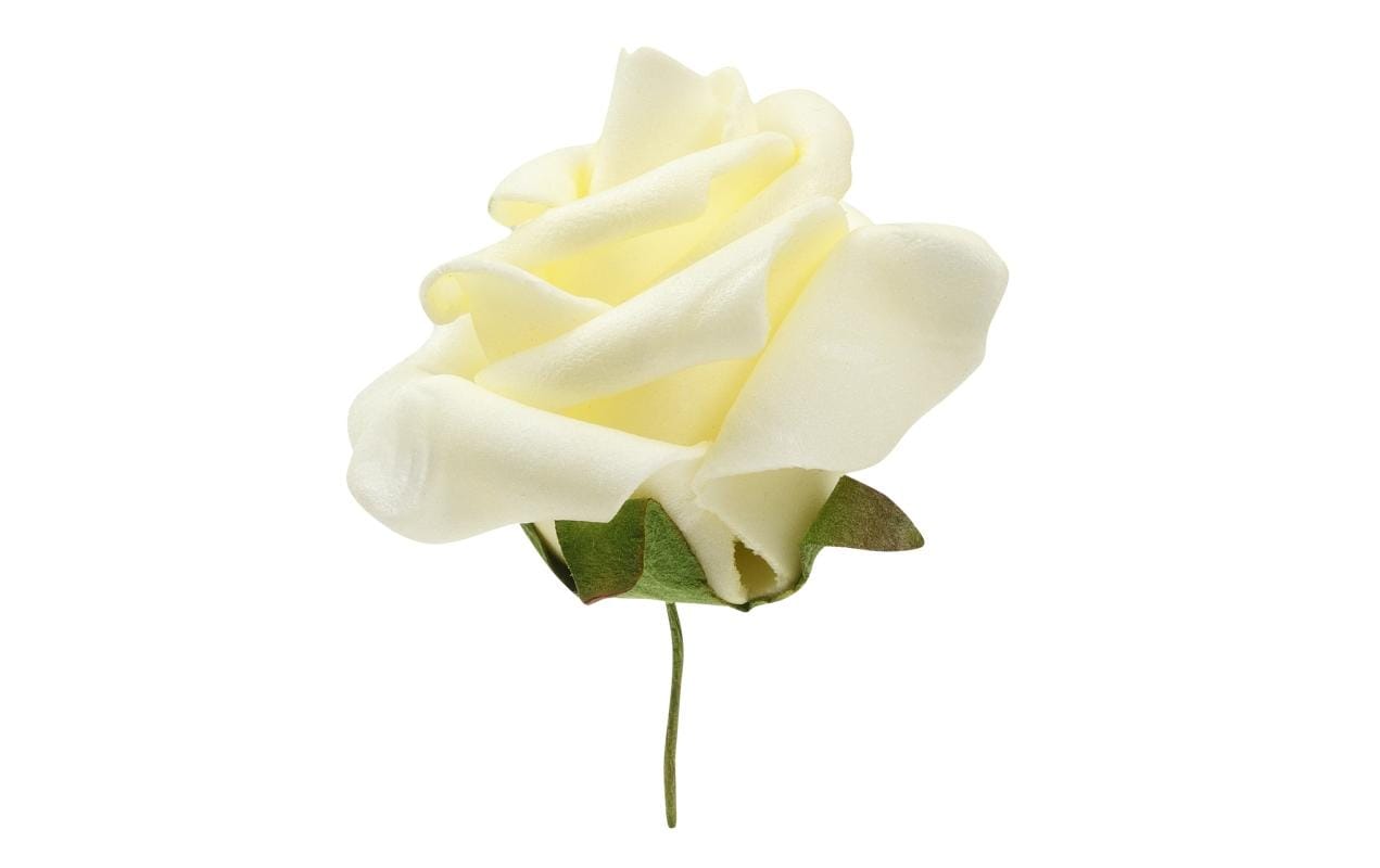 HobbyFun, Streudeko Rosen 12 Stück, Creme
