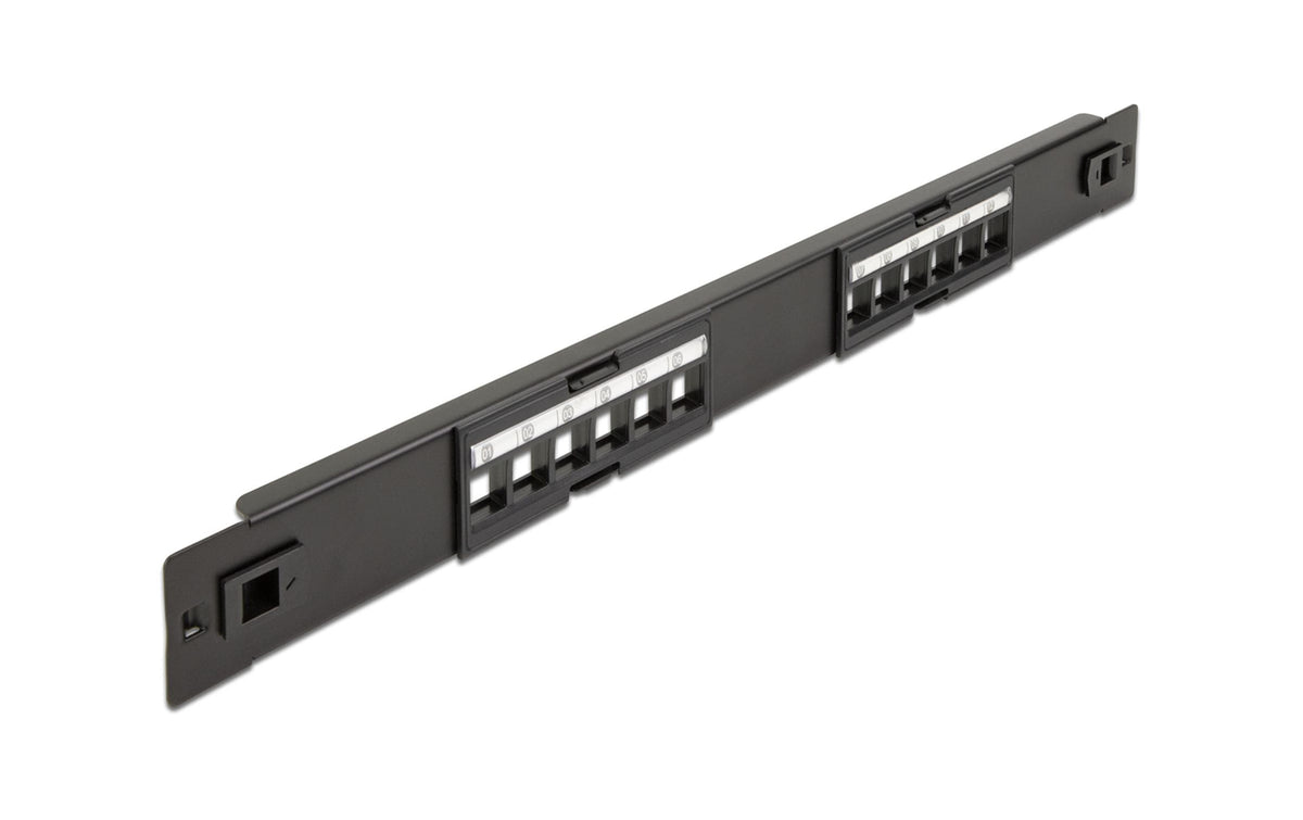 Delock 12-Port 19 Panel, metal