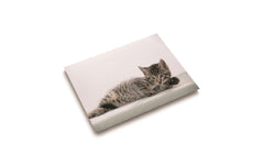 Läufer Schreibunterlage Katze