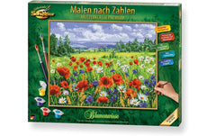MNZ - Blumenwiese