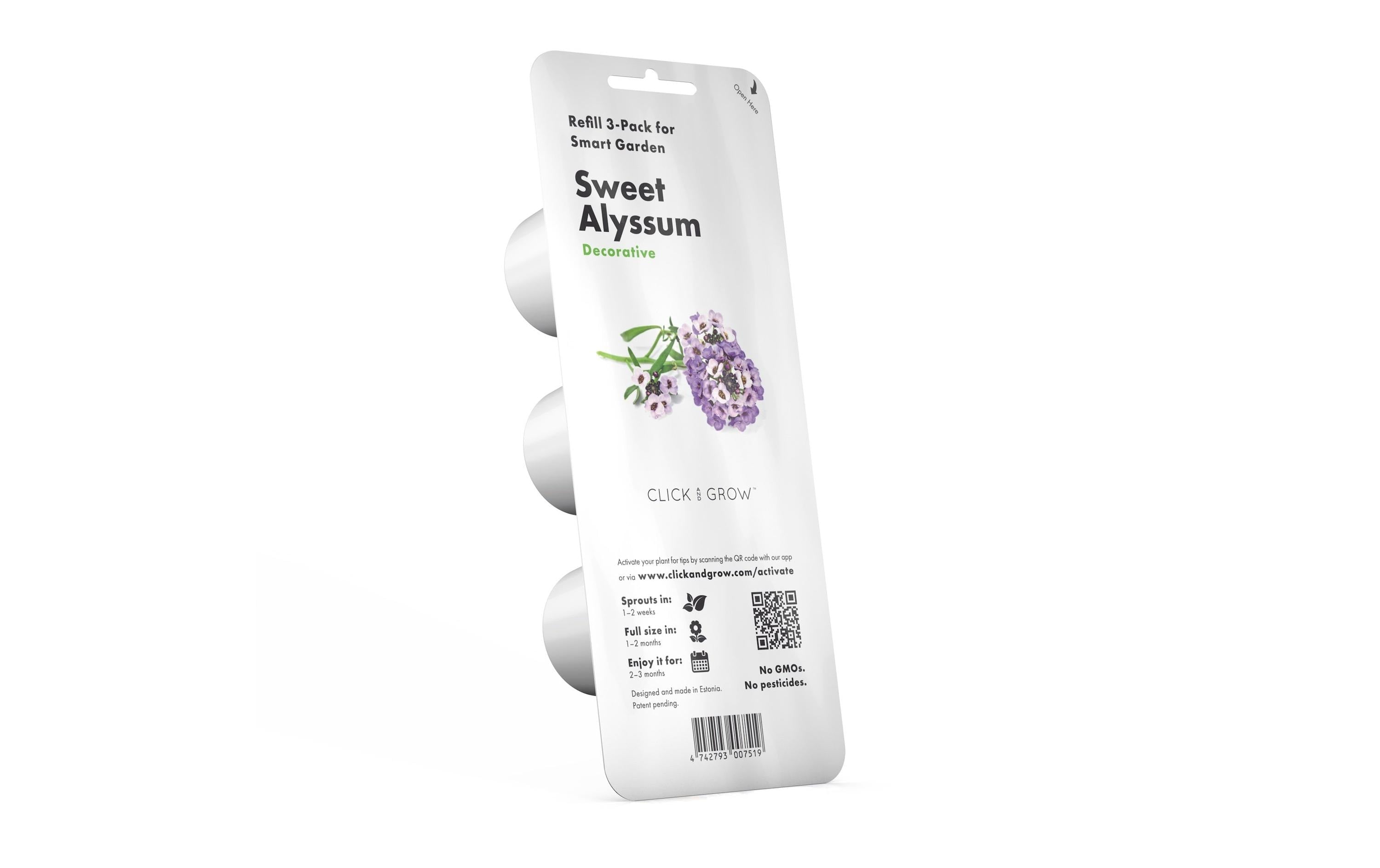 Click and Grow Sweet Alyssum