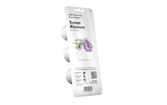 Click and Grow Sweet Alyssum