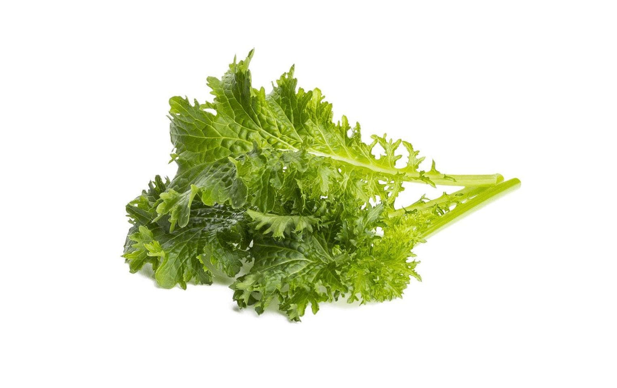 Click and Grow Wasabi Mustard