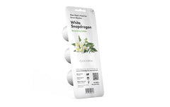 Click and Grow White Snapdragon