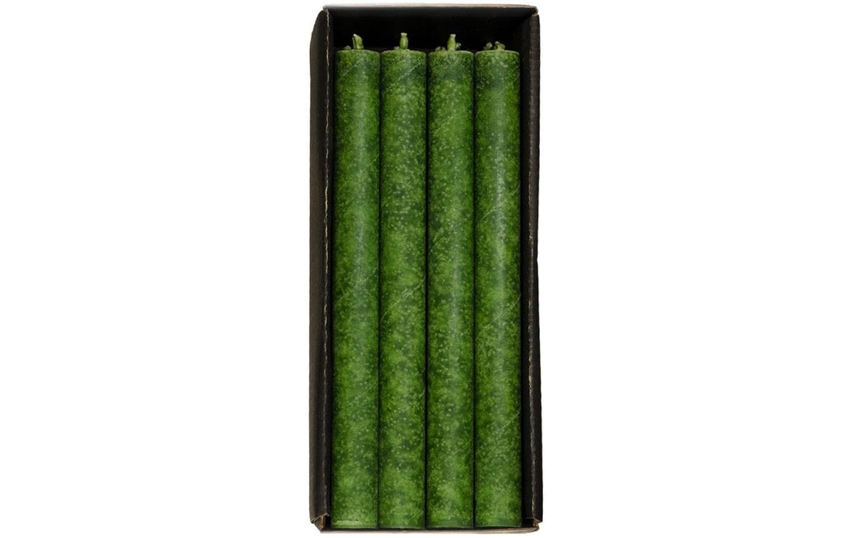 Schulthess Stabkerze Olive, 24 x 2.2 cm