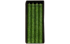 Schulthess Stabkerze Olive, 24 x 2.2 cm