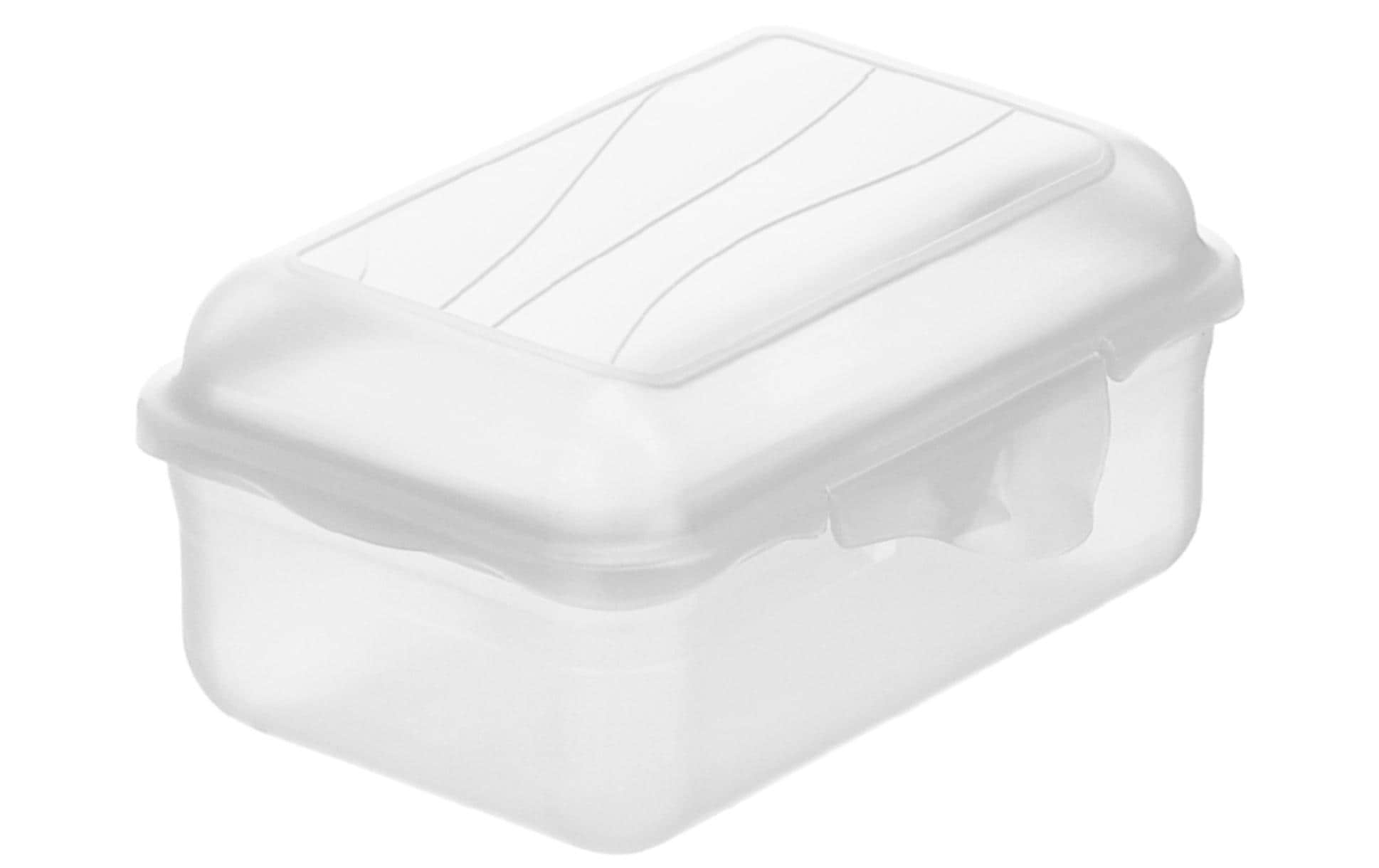 Rotho, Lunchbox Fun 400 ml, Transparent