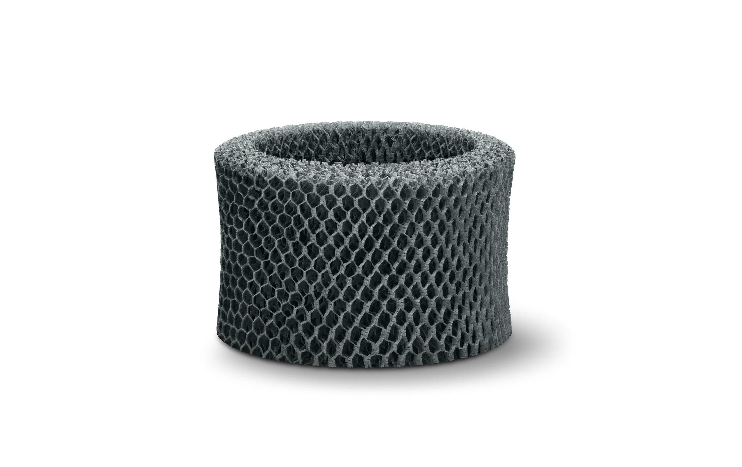 Philips Ersatzfilter FY2401/30