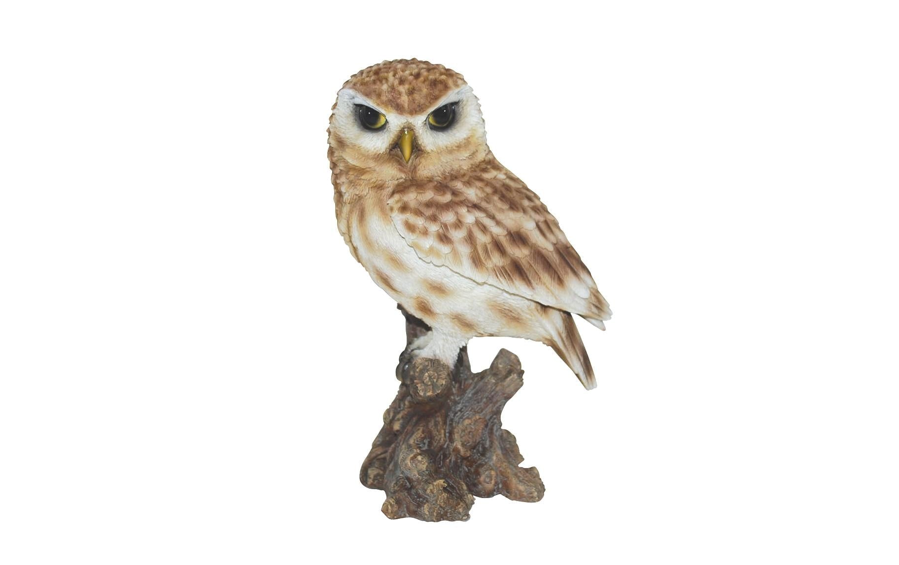Vivid Arts kleine Euled, Polyresin
