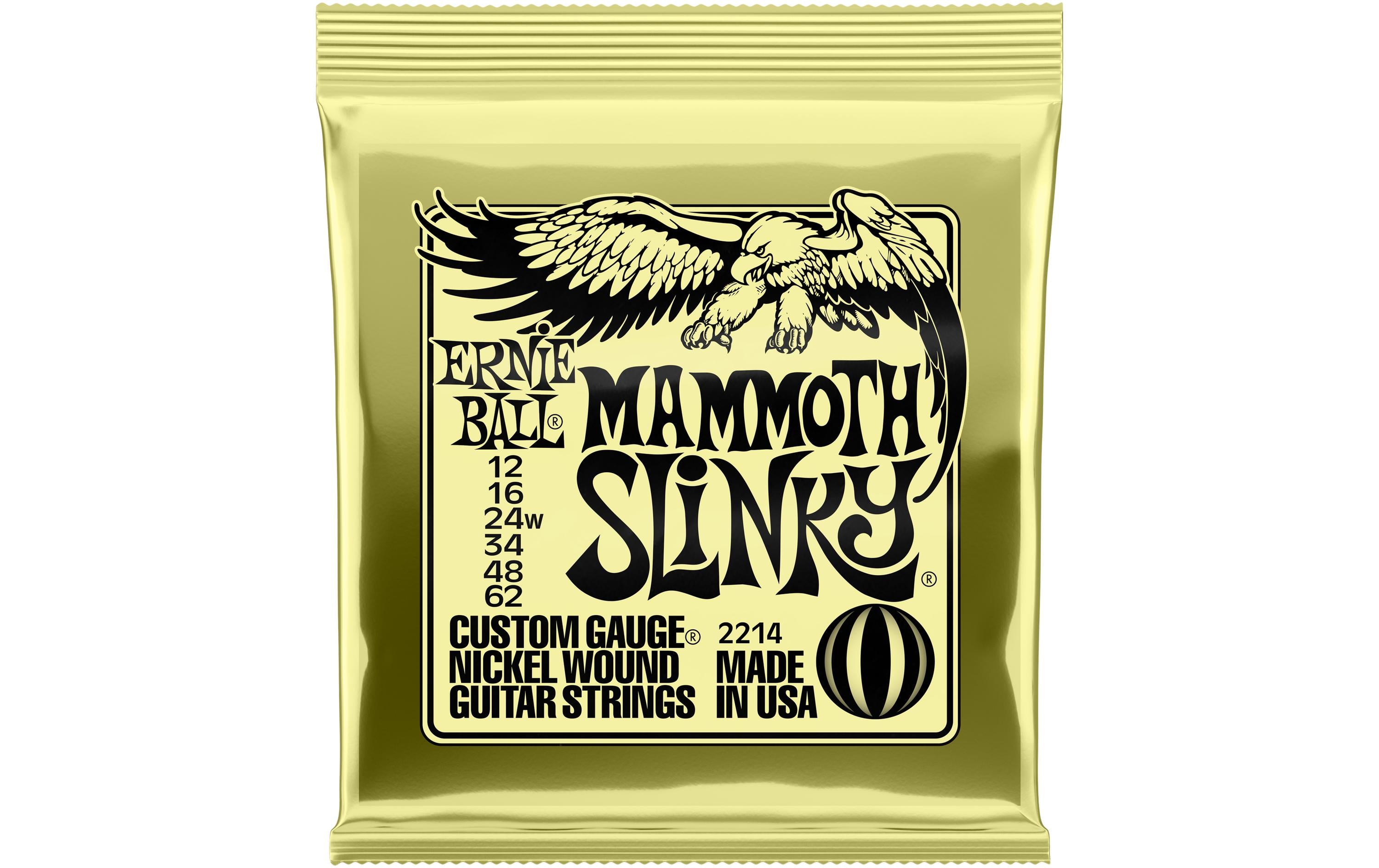 Ernie Ball 2214 Slinky Nickel