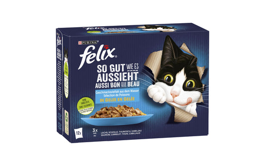 Felix Nassfutter So gut wie es aussieht