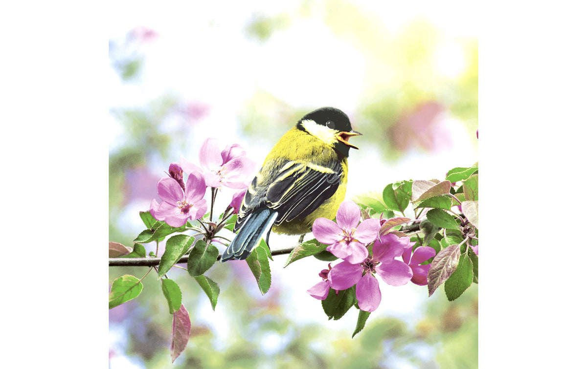 Paper+Design Servietten Spring Bird