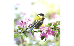 Paper+Design Servietten Spring Bird