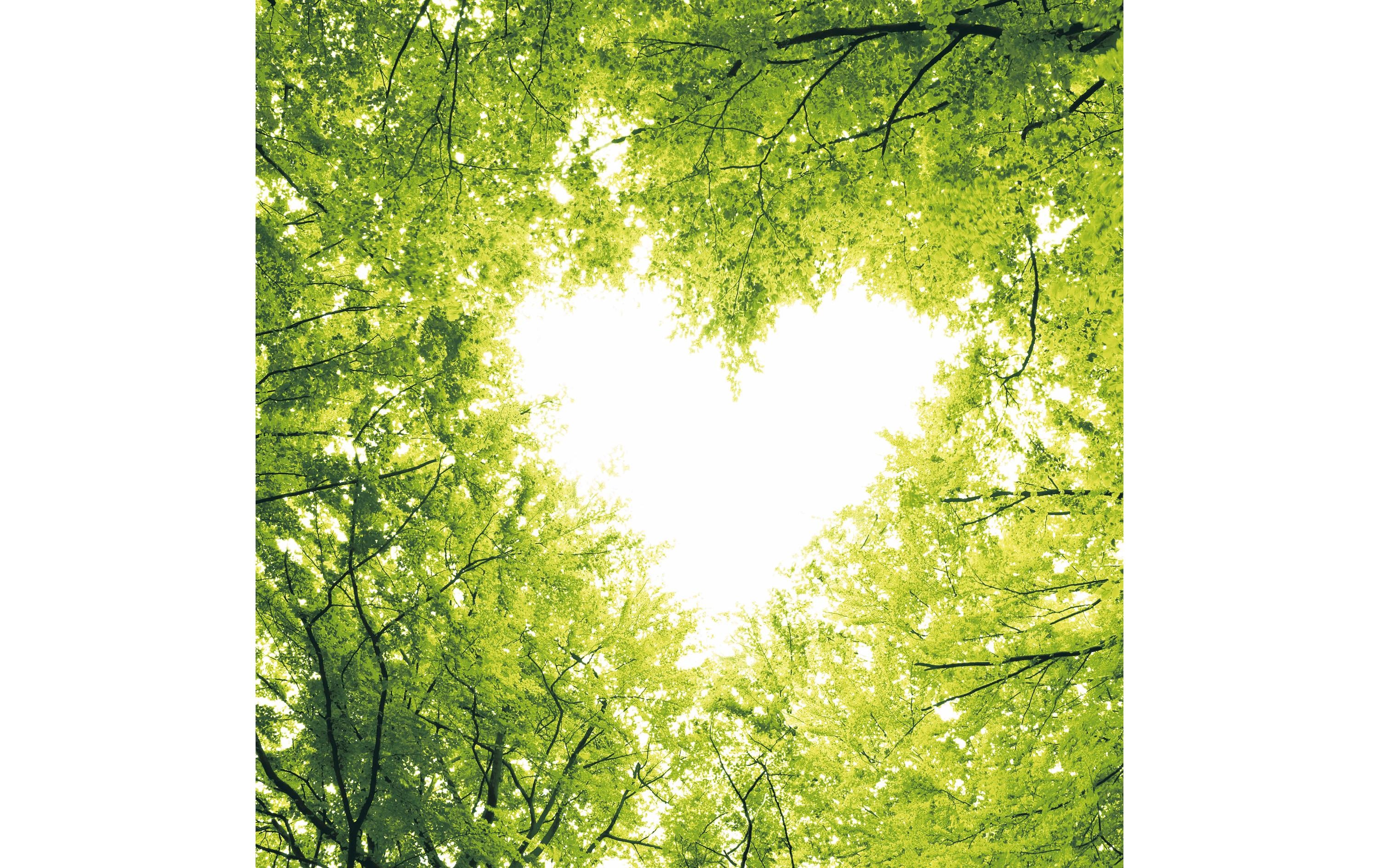 Paper + Design Servietten Nature Love
