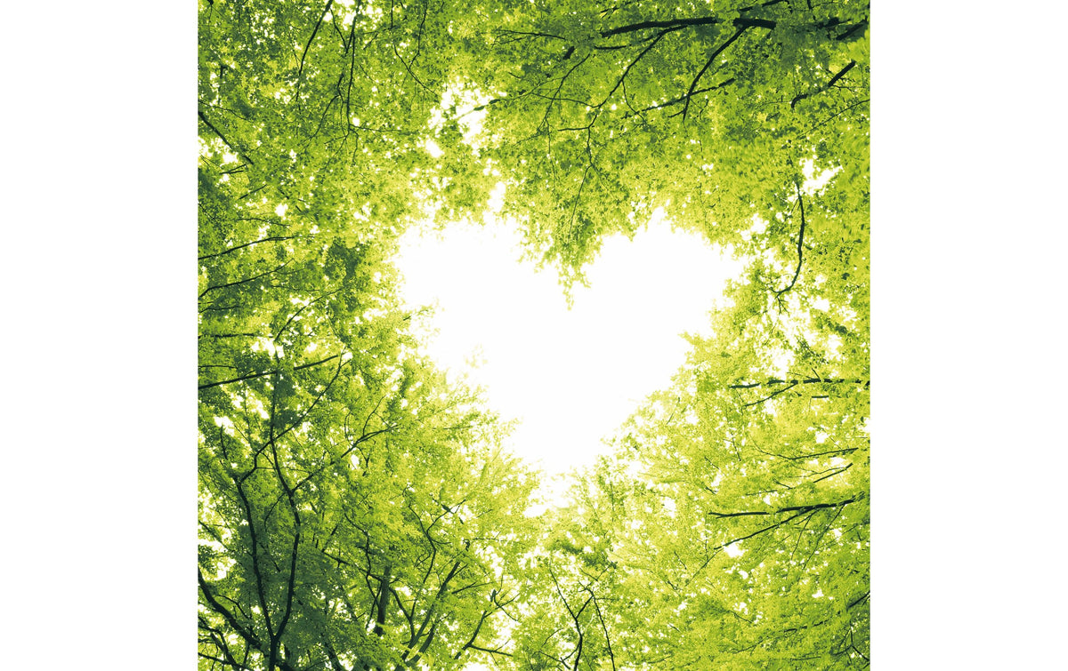 Paper + Design Servietten Nature Love