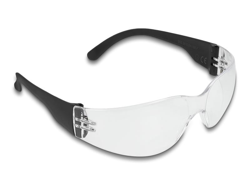 Delock | Schutzbrille mit Bügel, Kunststoff | Sichtscheiben klar, inklusiv Brillentasche