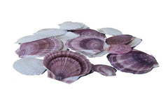 Dekomat  Muscheln im Netz, 300g