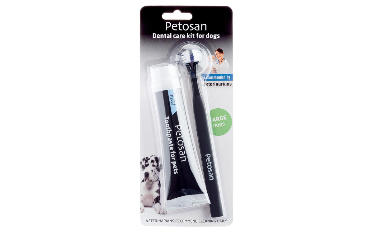 Petosan, Zahnreinigung Dental Kit Zahnpasta