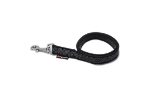dogsmart Leine gummiert 6m, 20mm