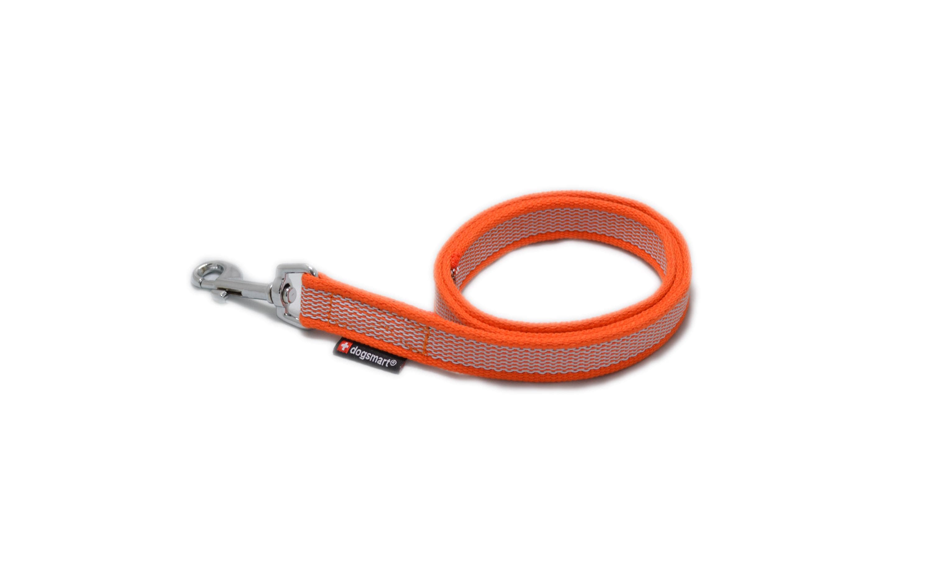 dogsmart Leine gummiert 6m, 20mm
