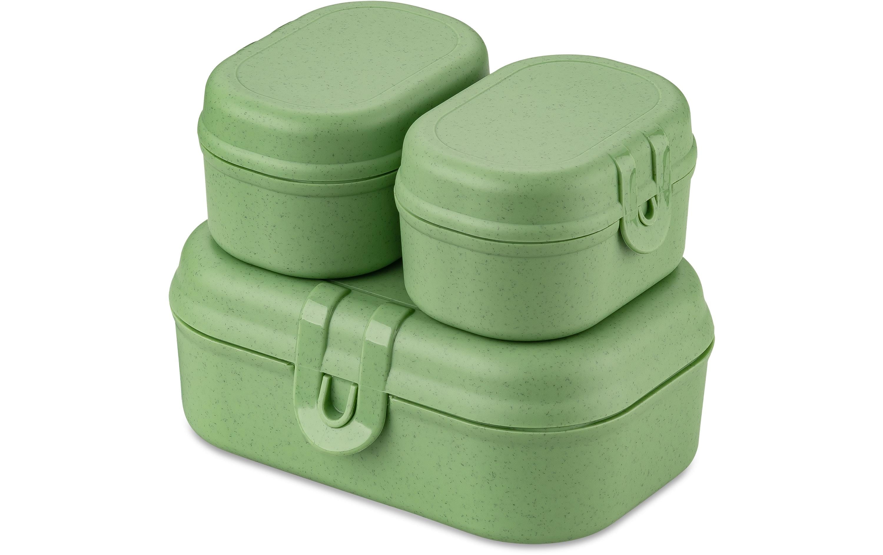 Koziol, Lunchbox Pascal Ready Mini Grün