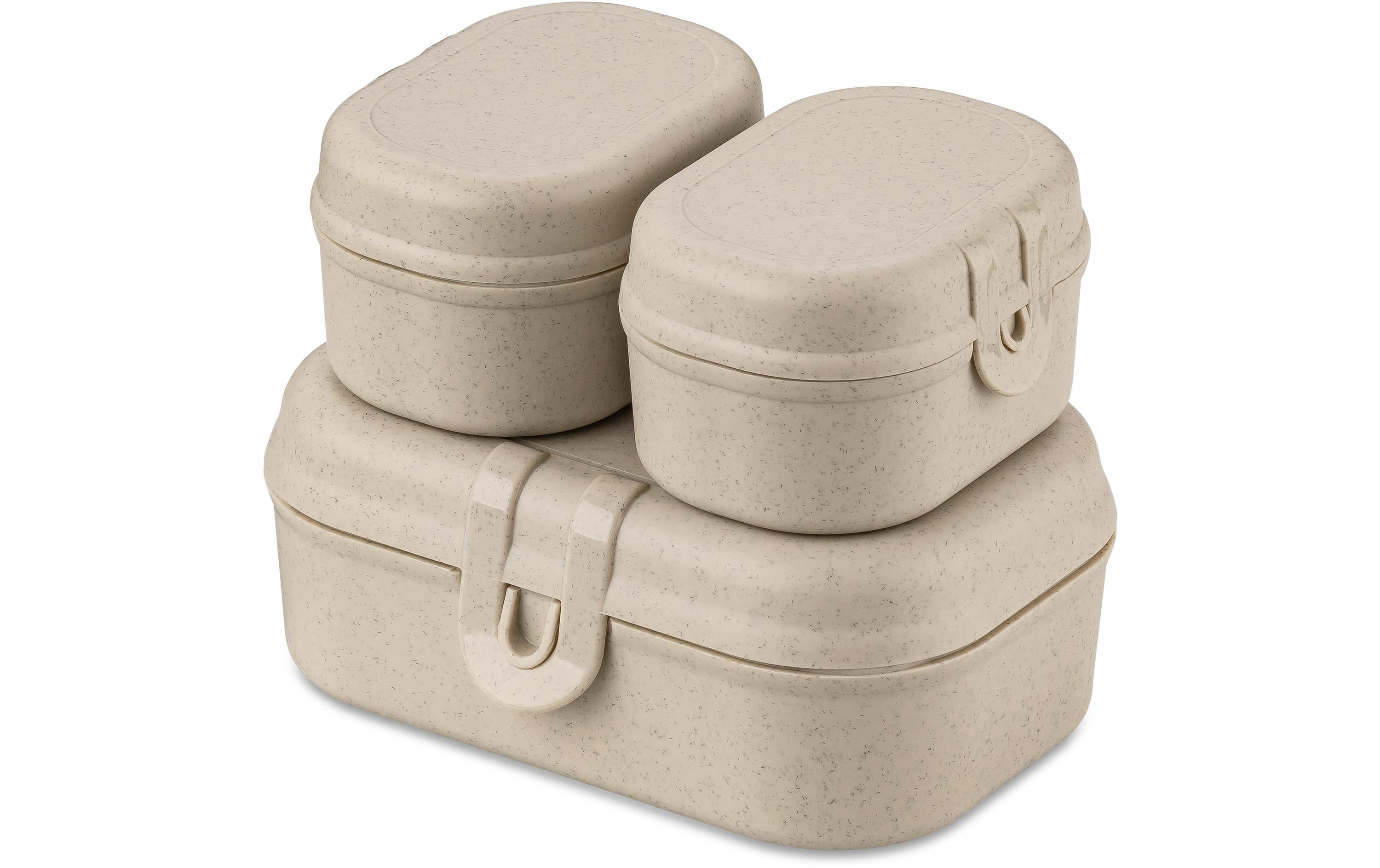 Koziol, Lunchbox Pascal Ready Mini Grau/Gel