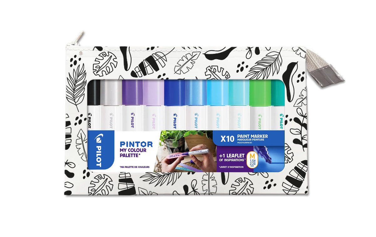 Pilot Pintor Medium Color Palette - Cool