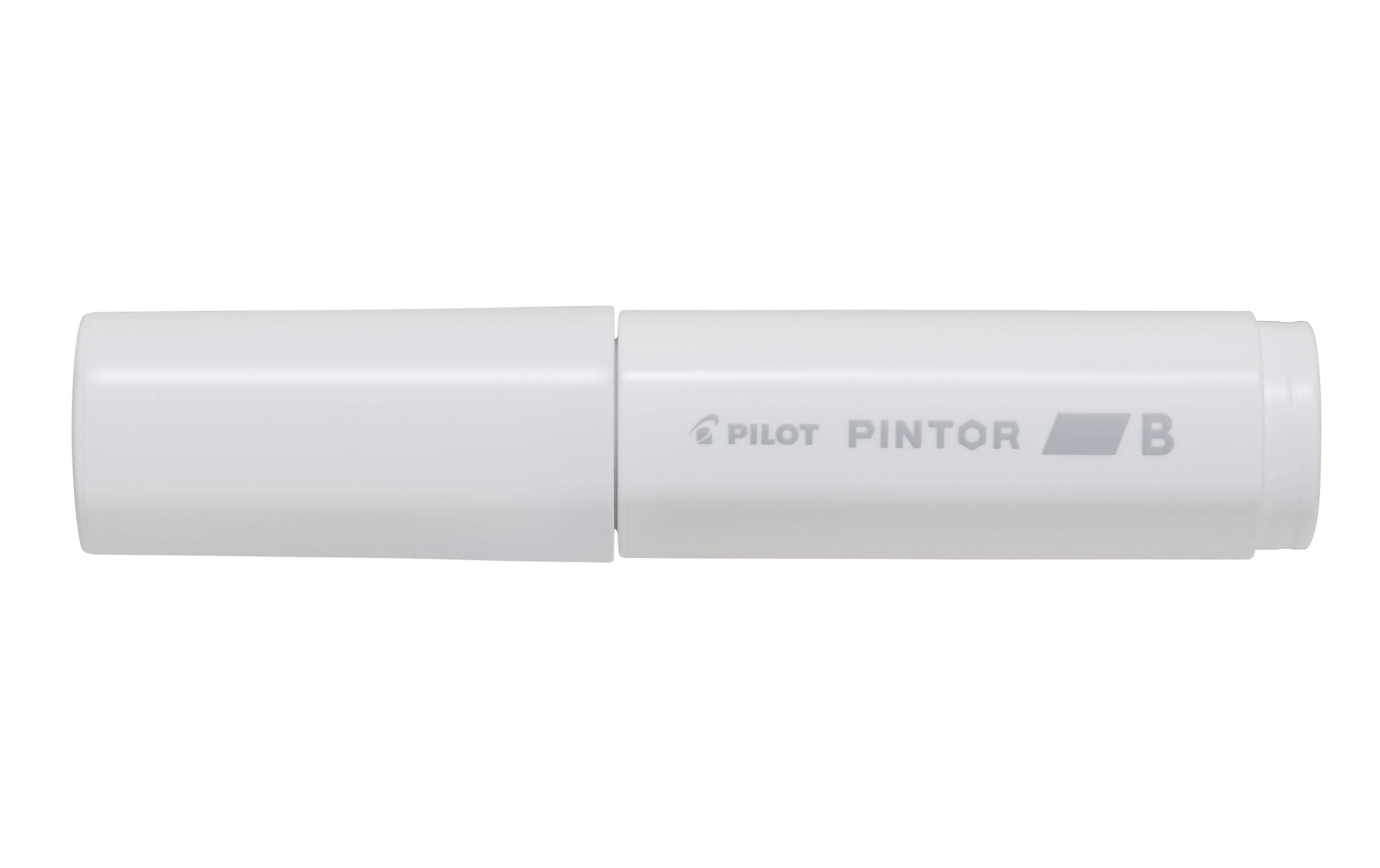 Pilot Pintor Breit