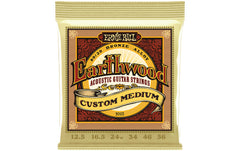 Ernie Ball 2005 Earthwood Bronze