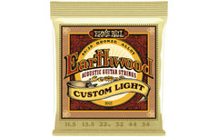 Ernie Ball 2007 Earthwood Bronze