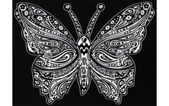 TATARUGA Samtbild A4, Schmetterling