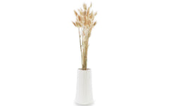 Soli Collection | Lagurus natur | 1 Bund, L: 50-60cm