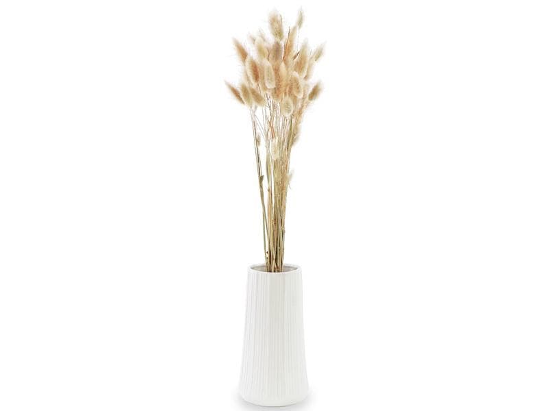 Soli Collection | Lagurus natur | 1 Bund, L: 50-60cm
