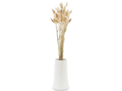 Soli Collection | Lagurus natur | 1 Bund, L: 50-60cm