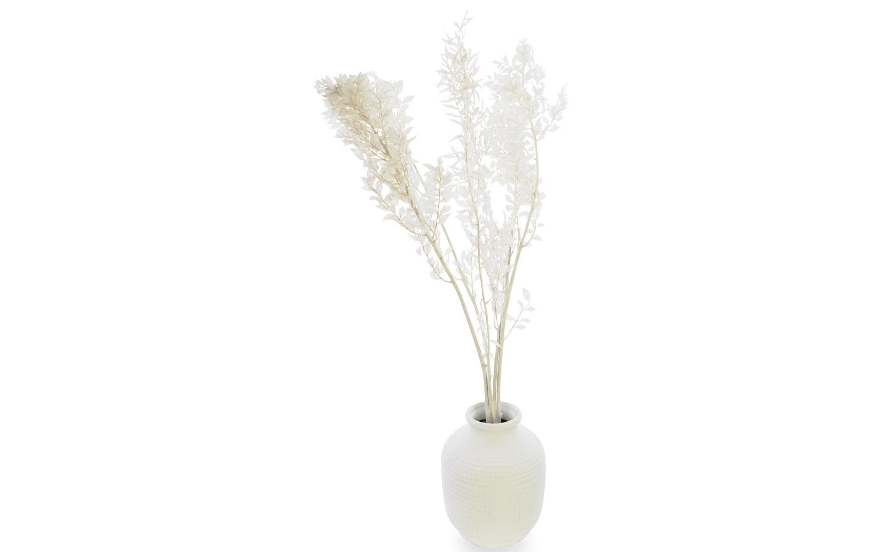 Soli Collection Ruscus weiss
