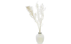 Soli Collection Ruscus weiss