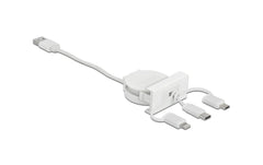 Delock Easy45 Modul 3 in 1 Aufrollkabel
