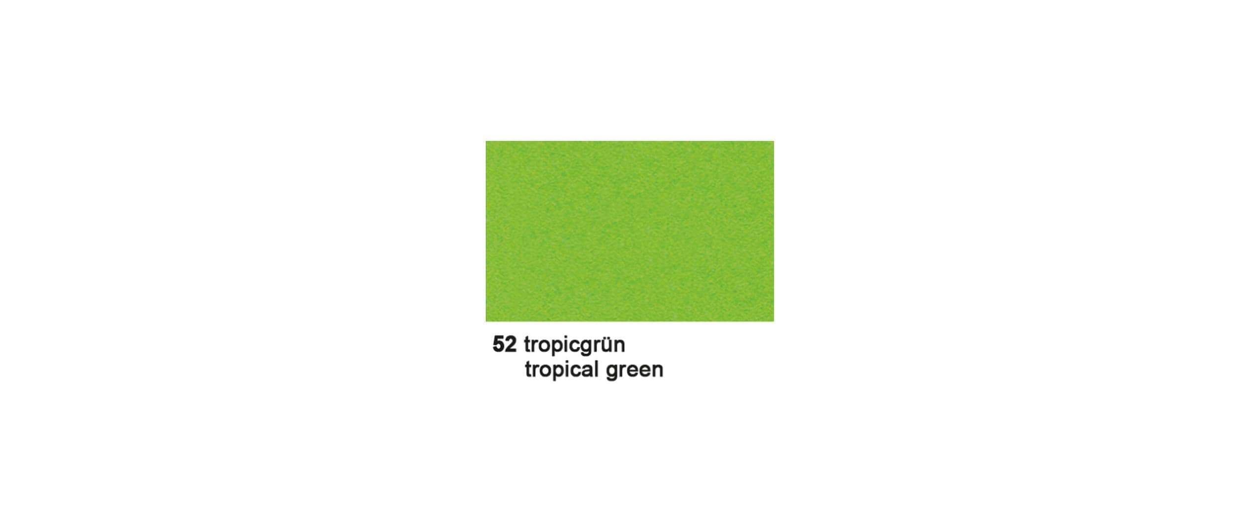 URSUS, Fotokarton 50 x 70 cm Tropicgrün