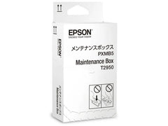 Epson | Maintenance Box C13T295000 | zu WF-100/110W