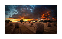 Samsung | VM55B-U, Videowall Display | 55 Full HD, D-LED, 500cd/m2, 24/7 Betrieb