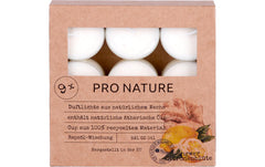 Müller Teelichter Duft Ingwer&Zirtonenblüte