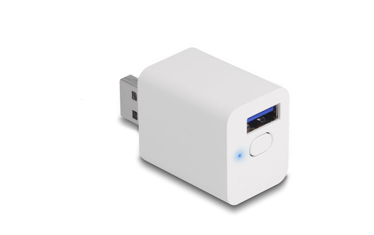 Delock WLAN EASY-USB