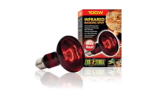 Exo Terra | Infrared Basking Spot | R25 (100W/80mm)