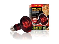 Exo Terra | Infrared Basking Spot | R25 (100W/80mm)